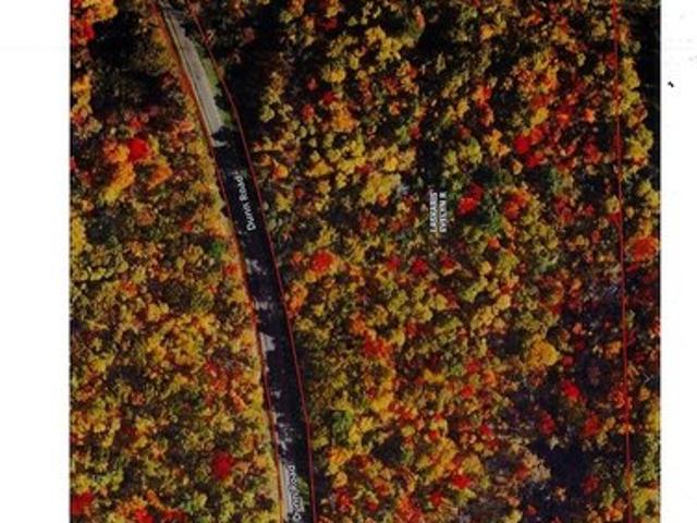 Land for sale in Elmira, New York