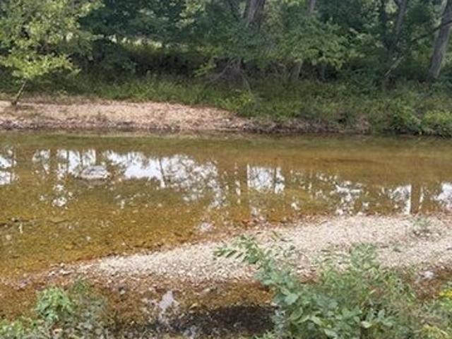 Land for sale in Walnut Shade, Missouri