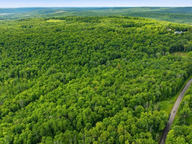 Land for sale in Elmira, New York