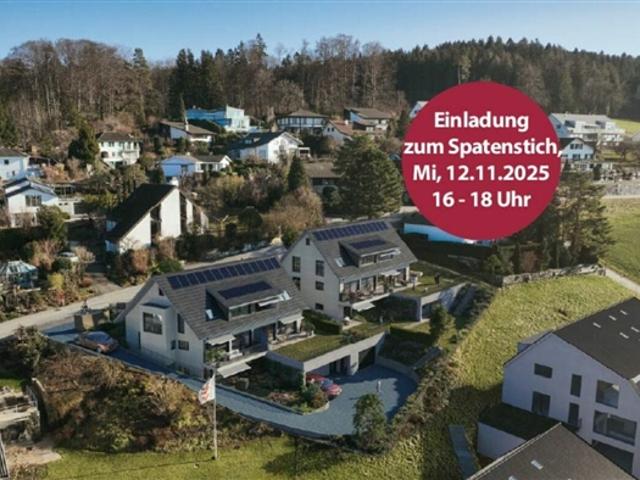 Wohnung kaufen in Aesch (ZH), Zürich