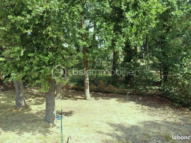 Appartement vente à Palaiseau, Breuillet
