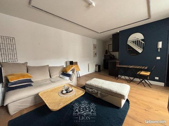 Appartement vente à Lille