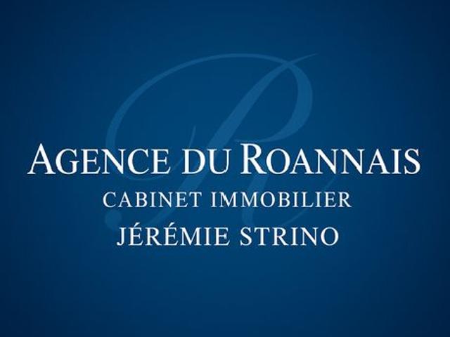 Appartement vente à Roanne