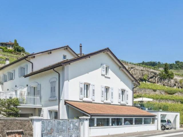 Wohnung kaufen in Rivaz, Waadt