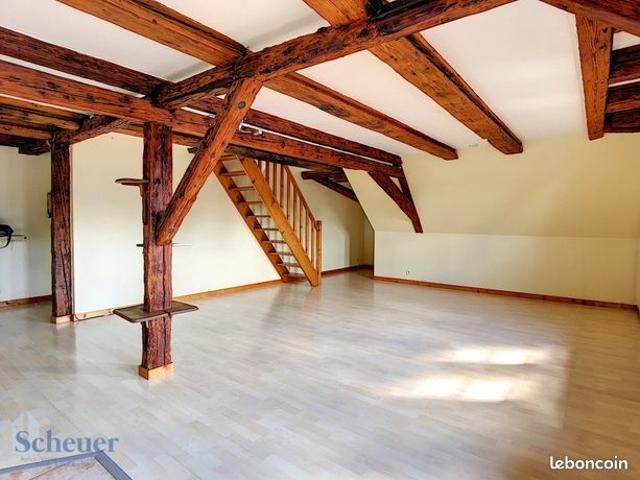 Appartement vente à Molsheim
