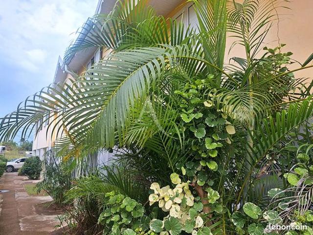 Appartement vente à Martinique
