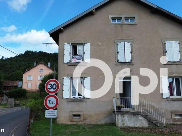 Appartement vente à Saint-Dié-des-Vosges, Taintrux