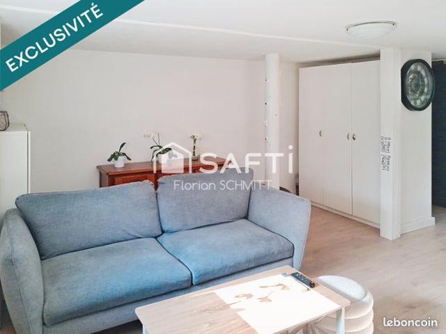 Appartement vente à Colmar-Ribeauvillé, Neuf-brisach