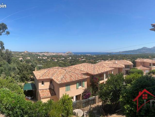 Appartement vente à Calvi