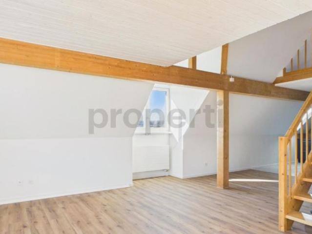 Wohnung kaufen in Langwiesen, Feuerthalen