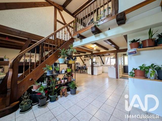 Appartement vente à Colmar-Ribeauvillé, Obersaasheim