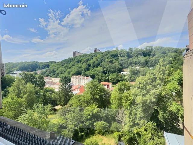 Appartement vente à Nancy