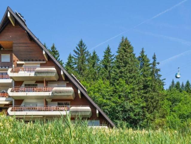 Wohnung kaufen in Gryon, Waadt