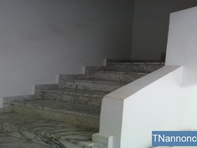 Appartement location