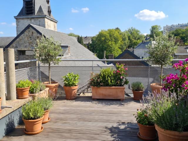 Appartement location à Huy, Wallonie