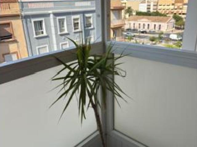 Dúplex en alquiler en Poblats Marítims, Comarca de València