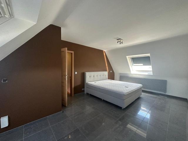 Kot location à Erembodegem, Aalst
