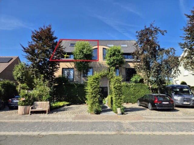 Appartement location à Wichelen, Oost-Vlaanderen