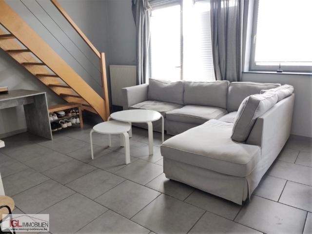 Appartement location à Sint-pieters-leeuw, Brabant