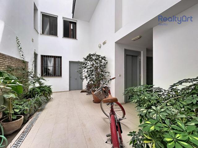 Dúplex en venta en Casco Antiguo, Sevilla