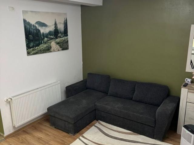 Apartament închirieri în Timisoara, Timiș