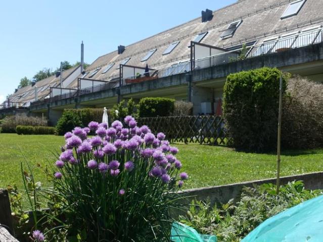 Apartment mieten in Châtel-Saint-Denis, Freiburg