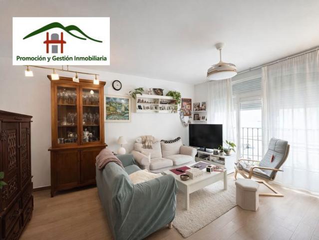 Apartamento en alquiler en Hoyo De Manzanares, Madrid