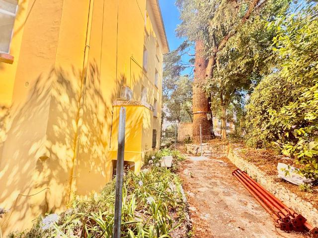 Duplex vente à France métropolitaine, Cannes