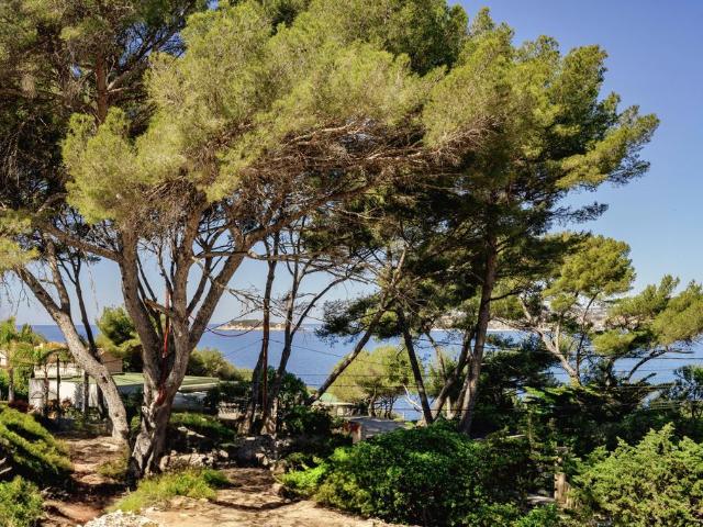 Duplex vente à Arrondissement de Toulon, Sanary-sur-mer