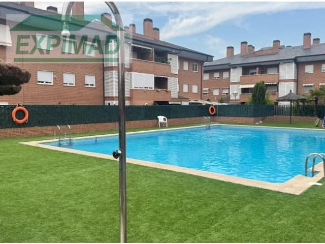 Dúplex en alquiler en Las Rozas De Madrid, Madrid