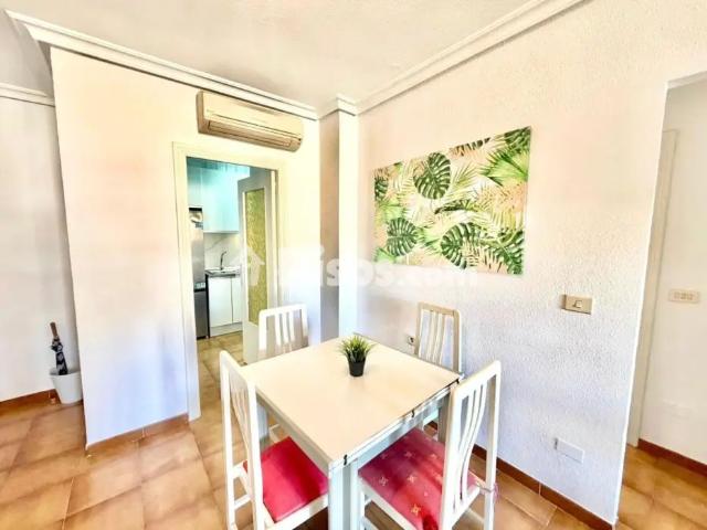 Casa en alquiler en Murcia, Área Metropolitana de Murcia