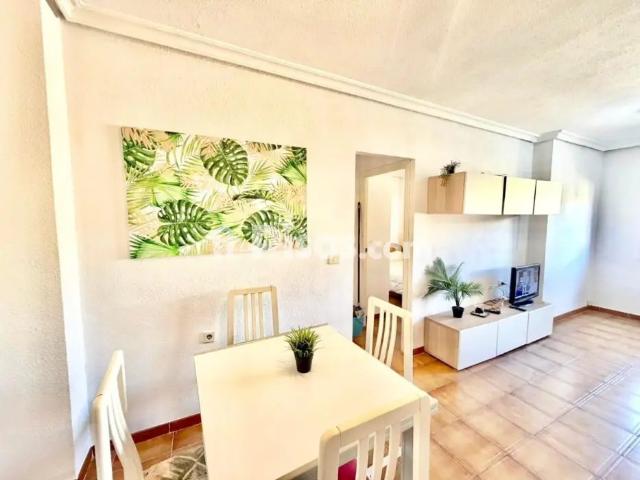 Casa en alquiler en Murcia, Área Metropolitana de Murcia