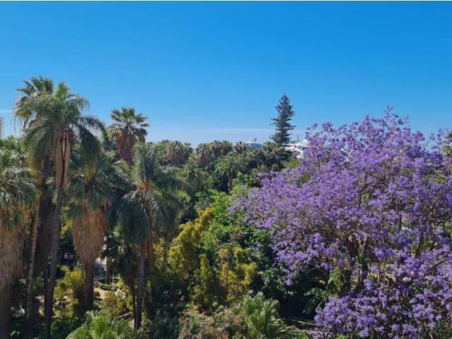 Dúplex en alquiler en Málaga-Costa del Sol, Andalucía