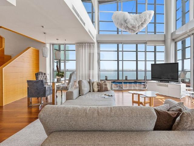 Dúplex en alquiler en Barcelona, Diagonal Mar i el Front Marítim del Poblenou