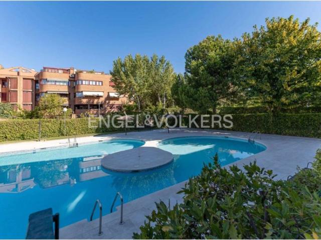 Dúplex en alquiler en Pozuelo De Alarcón, Madrid