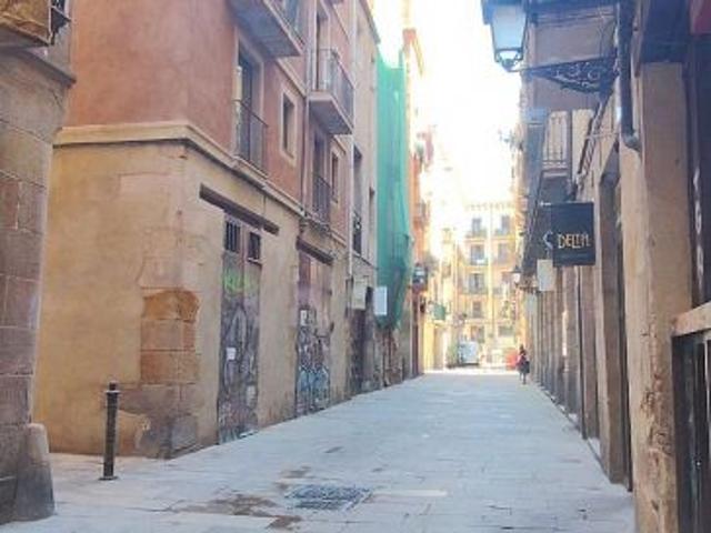 Dúplex en venta en Ciutat Vella, Barcelonès