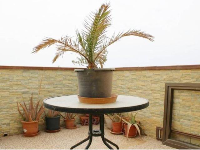 Dúplex en venta en El Ejido, Andalucía