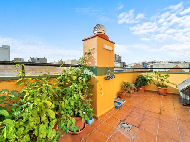 Dúplex en venta en Centro, Málaga