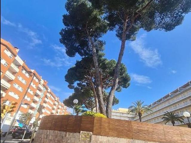 Dúplex en venta en la Selva, Catalunya