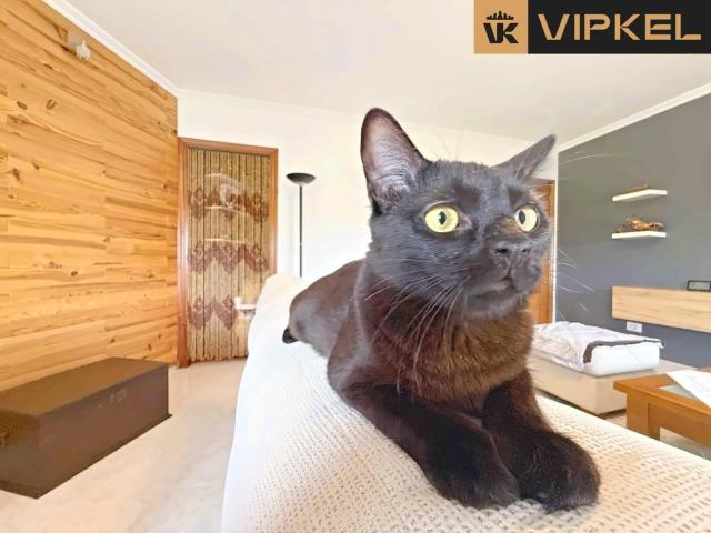 Dúplex en venta en Narón, Ferrol