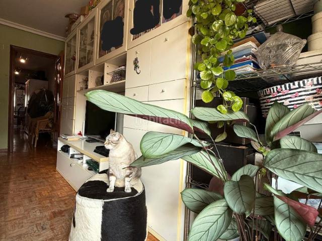 Dúplex en venta en Centro y casco histórico, Oviedo