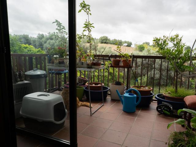 Dúplex en venta en Talamanca De Jarama, Madrid