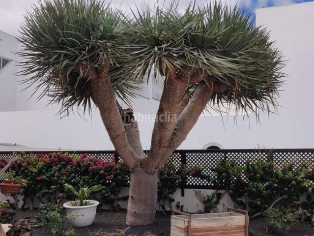 Dúplex en venta en Teguise, Canarias