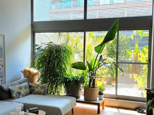 Estudio en venta en Ciutat Vella, Comarca de València