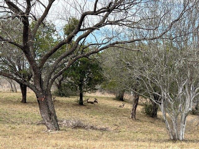 Land for sale in Llano, Texas