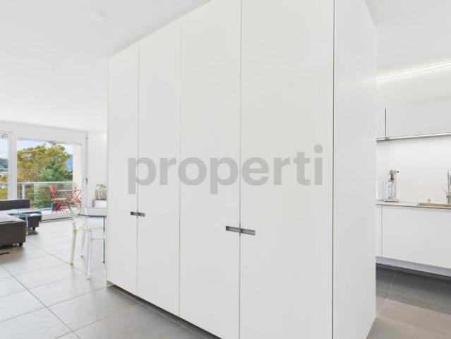 Wohnung kaufen in Massagno, Tessin