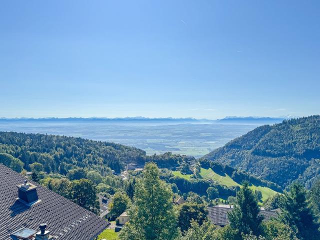 Apartment kaufen