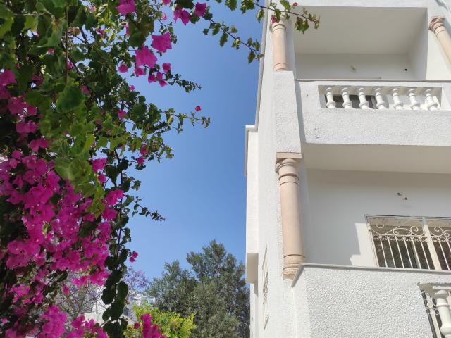 Maison location à Berge Du Lac, La Marsa