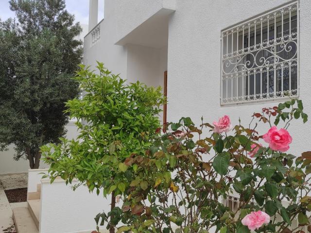 Maison location à Tunis
