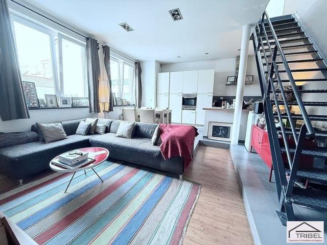 Maison location à Elsene, Bruxelles